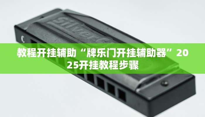 教程开挂辅助“牌乐门开挂辅助器”2025开挂教程步骤