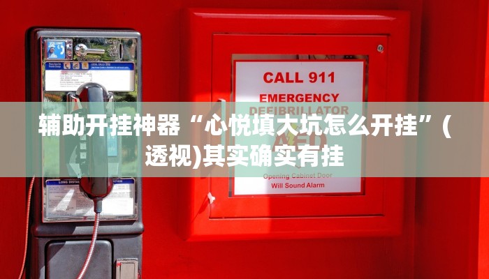 辅助开挂神器“心悦填大坑怎么开挂”(透视)其实确实有挂