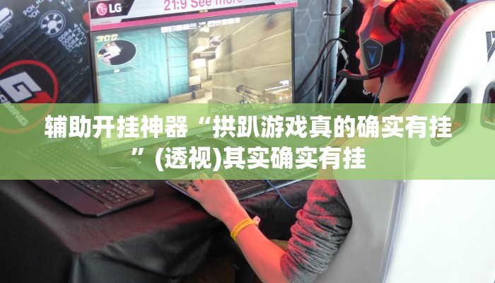 辅助开挂神器“拱趴游戏真的确实有挂”(透视)其实确实有挂