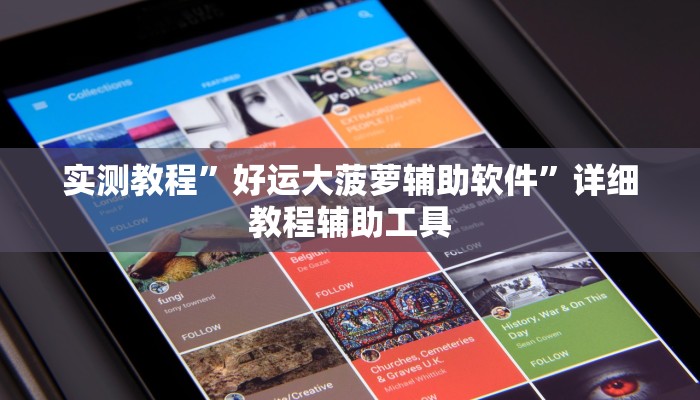 实测教程”好运大菠萝辅助软件”详细教程辅助工具