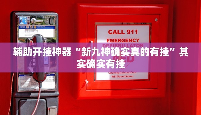 辅助开挂神器“新九神确实真的有挂”其实确实有挂