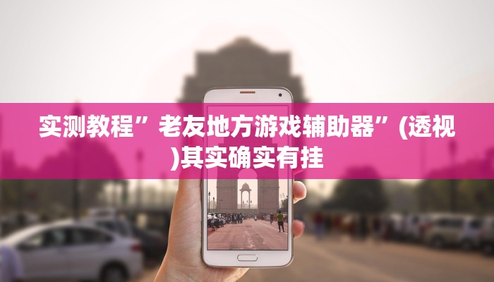 实测教程”老友地方游戏辅助器”(透视)其实确实有挂