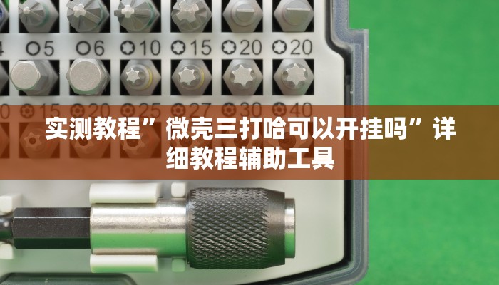 实测教程”微壳三打哈可以开挂吗”详细教程辅助工具