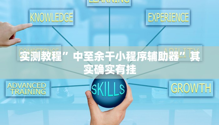 实测教程”中至余干小程序辅助器”其实确实有挂