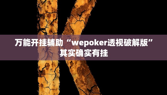 万能开挂辅助“wepoker透视破解版”其实确实有挂