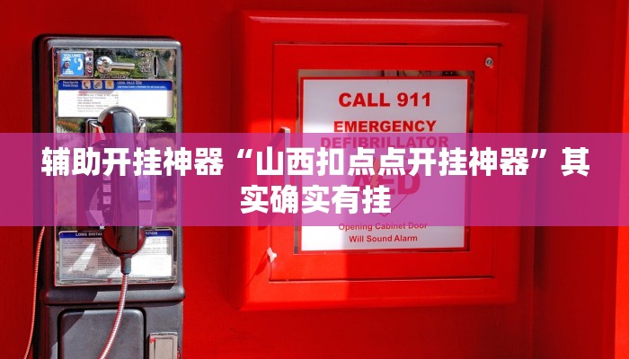 辅助开挂神器“山西扣点点开挂神器”其实确实有挂