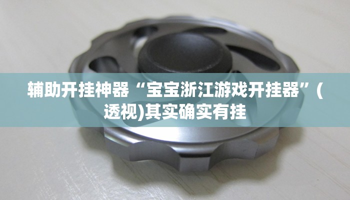 辅助开挂神器“宝宝浙江游戏开挂器”(透视)其实确实有挂