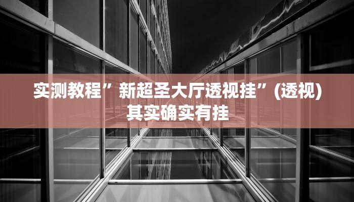 实测教程”新超圣大厅透视挂”(透视)其实确实有挂