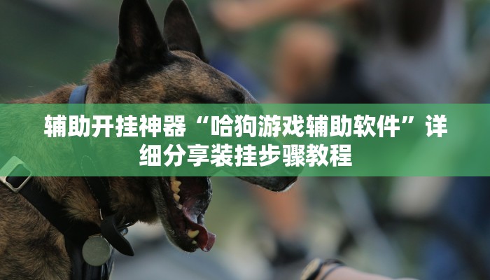 辅助开挂神器“哈狗游戏辅助软件”详细分享装挂步骤教程 辅助开挂神器“哈狗游戏辅助软件”详细分享装挂步骤教程