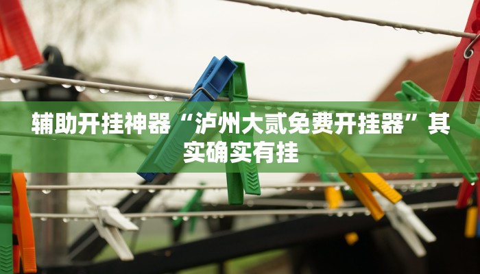 辅助开挂神器“泸州大贰免费开挂器”其实确实有挂