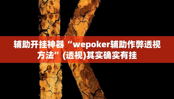 辅助开挂神器“wepoker辅助作弊透视方法”(透视)其实确实有挂