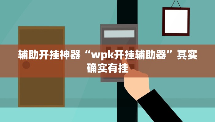 辅助开挂神器“wpk开挂辅助器”其实确实有挂