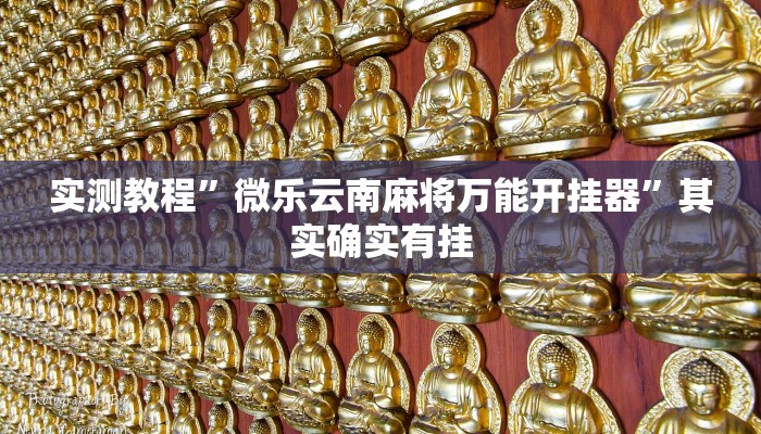 实测教程”微乐云南麻将万能开挂器”其实确实有挂 实测教程”微乐云南麻将万能开挂器”其实确实有挂