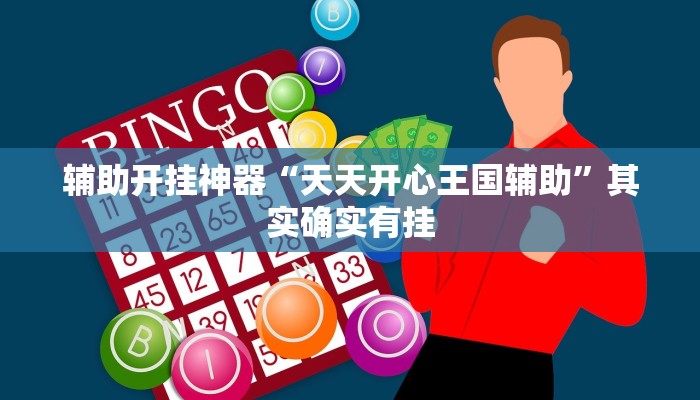 辅助开挂神器“天天开心王国辅助”其实确实有挂