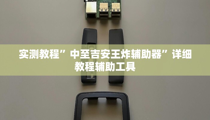 实测教程”中至吉安王炸辅助器”详细教程辅助工具