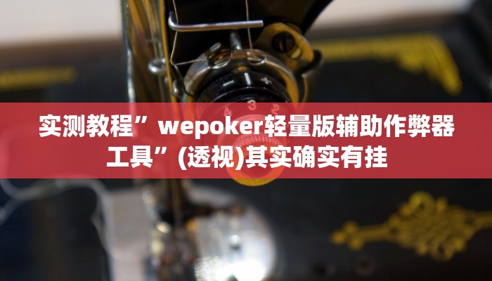 实测教程”wepoker轻量版辅助作弊器工具”(透视)其实确实有挂