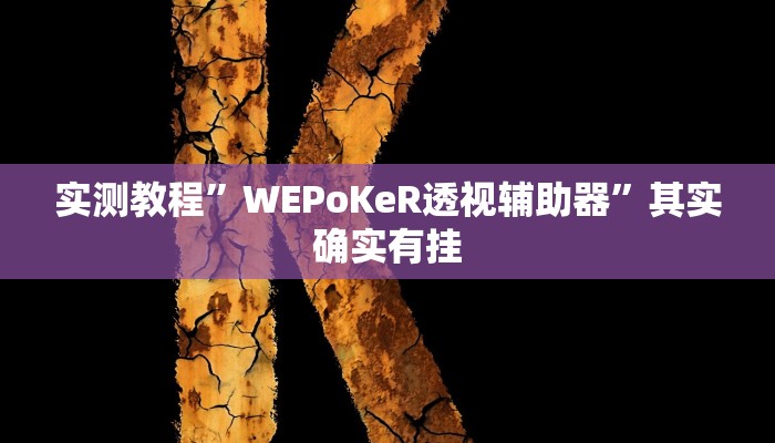 实测教程”WEPoKeR透视辅助器”其实确实有挂