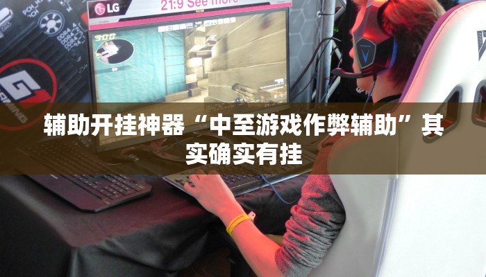 辅助开挂神器“中至游戏作弊辅助”其实确实有挂 辅助开挂神器“中至游戏作弊辅助”其实确实有挂