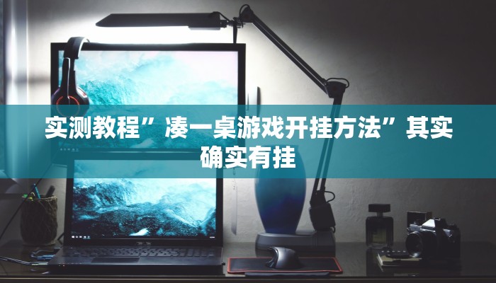 实测教程”凑一桌游戏开挂方法”其实确实有挂