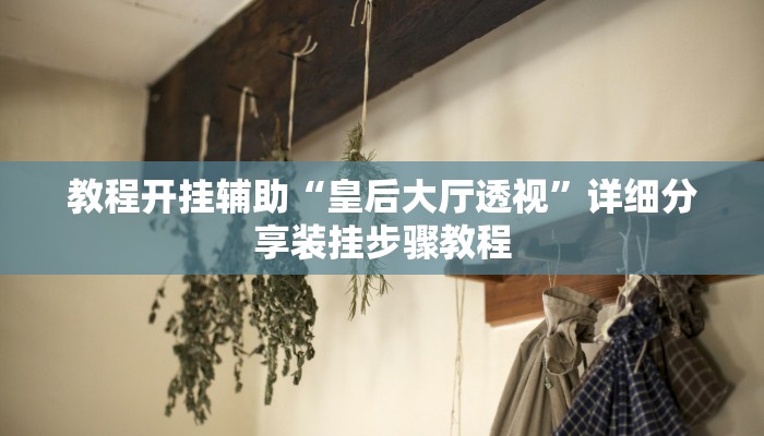 教程开挂辅助“皇后大厅透视”详细分享装挂步骤教程