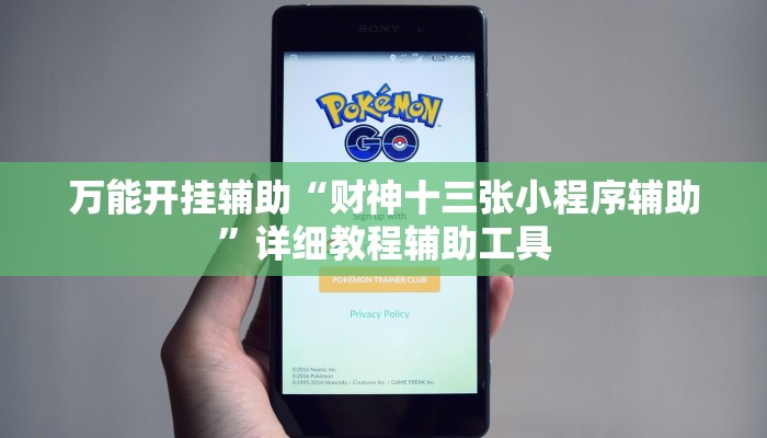 辅助开挂神器“畅享新娱辅助器下载”详细分享装挂步骤教程