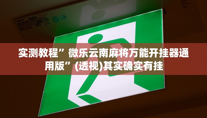 万能开挂辅助“宝马互娱透视”其实确实有挂