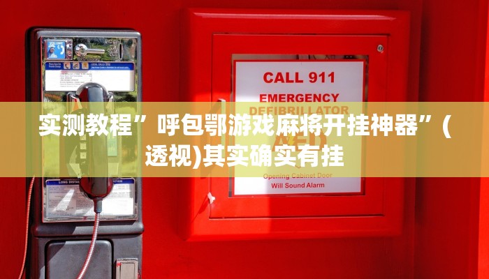 实测教程”呼包鄂游戏麻将开挂神器”(透视)其实确实有挂