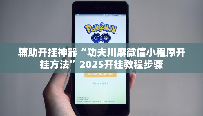 辅助开挂神器“功夫川麻微信小程序开挂方法”2025开挂教程步骤