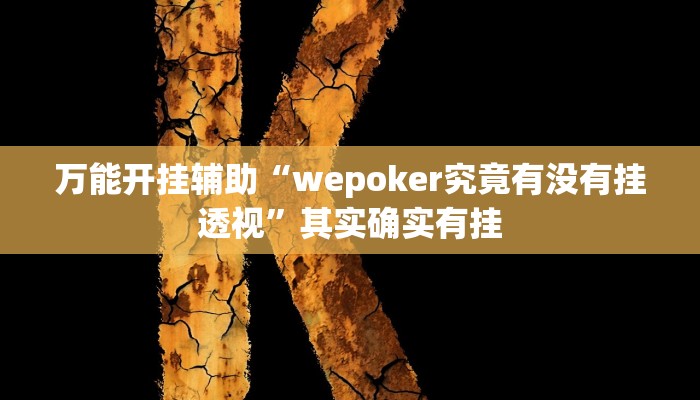 万能开挂辅助“wepoker究竟有没有挂透视”其实确实有挂