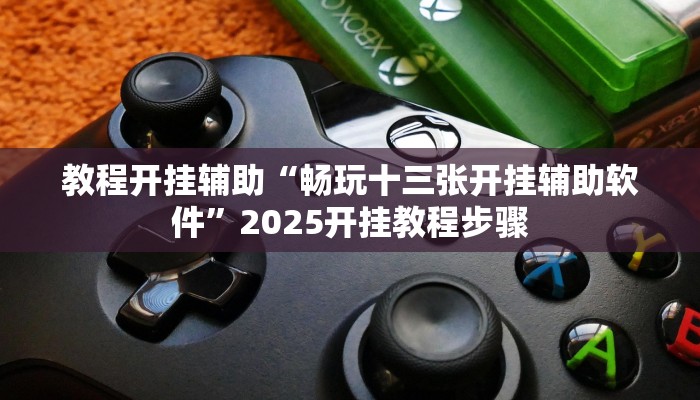 教程开挂辅助“畅玩十三张开挂辅助软件”2025开挂教程步骤