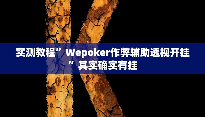 实测教程”Wepoker作弊辅助透视开挂”其实确实有挂