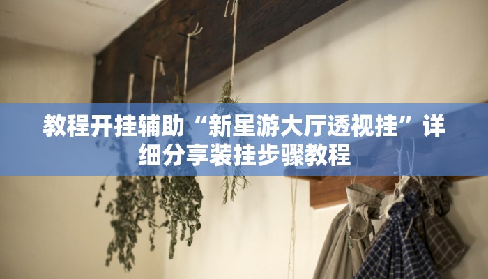 教程开挂辅助“新星游大厅透视挂”详细分享装挂步骤教程