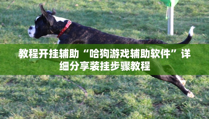 辅助开挂神器“起点休闲辅助神器”(透视)其实确实有挂