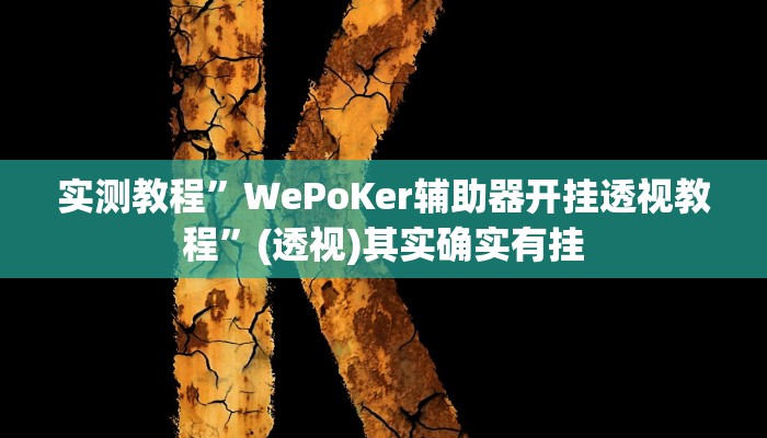 实测教程”WePoKer辅助器开挂透视教程”(透视)其实确实有挂