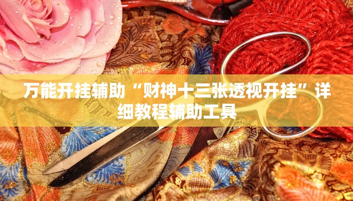 万能开挂辅助“财神十三张透视开挂”详细教程辅助工具