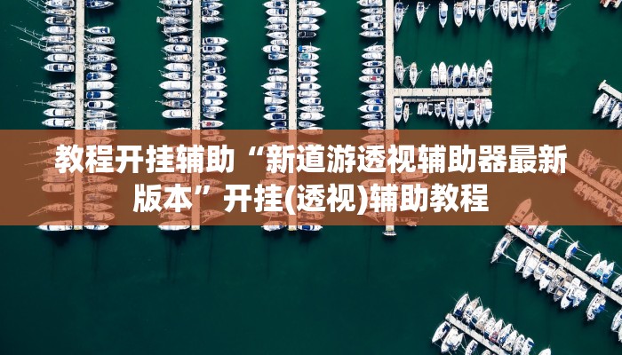 教程开挂辅助“新道游透视辅助器最新版本”开挂(透视)辅助教程