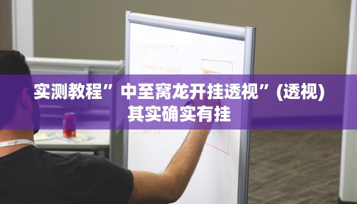 实测教程”中至窝龙开挂透视”(透视)其实确实有挂