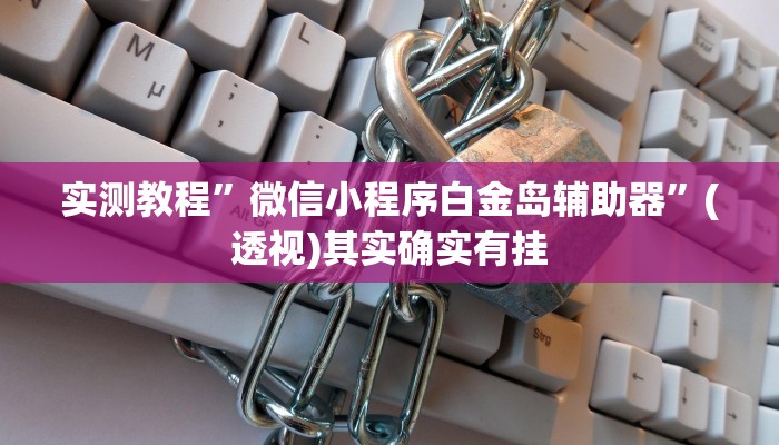 实测教程”微信小程序白金岛辅助器”(透视)其实确实有挂