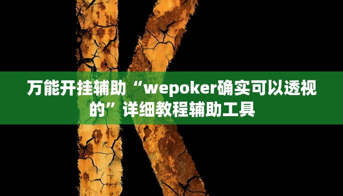 万能开挂辅助“wepoker确实可以透视的”详细教程辅助工具