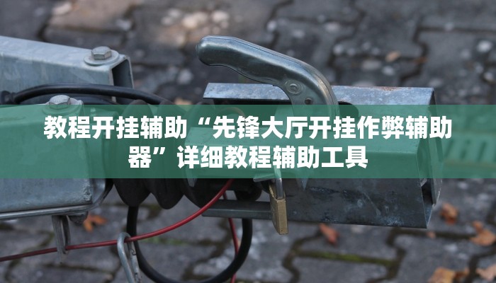 教程开挂辅助“先锋大厅开挂作弊辅助器”详细教程辅助工具