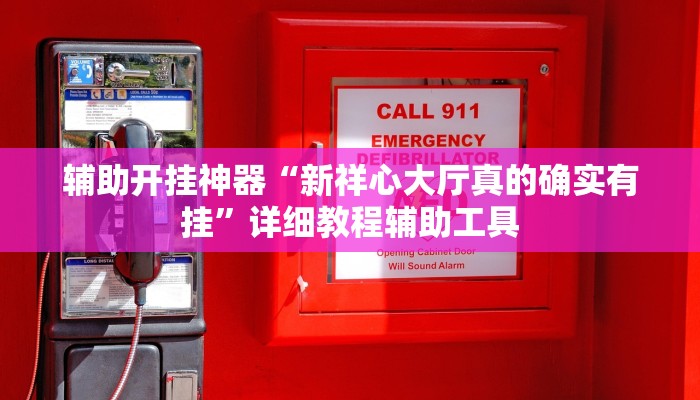 辅助开挂神器“新祥心大厅真的确实有挂”详细教程辅助工具