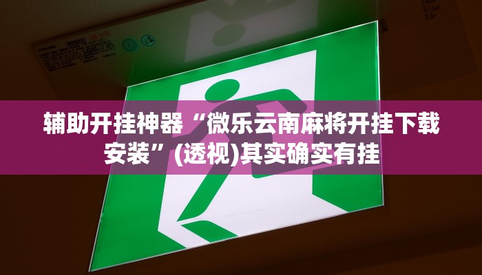 辅助开挂神器“微乐云南麻将开挂下载安装”(透视)其实确实有挂