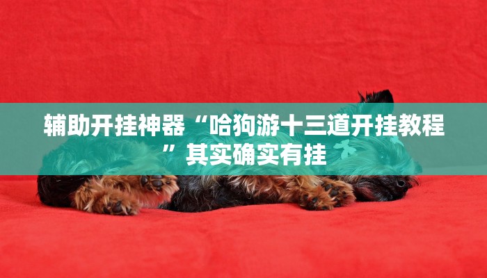 辅助开挂神器“启东牌缘到底有挂吗”详细教程辅助工具