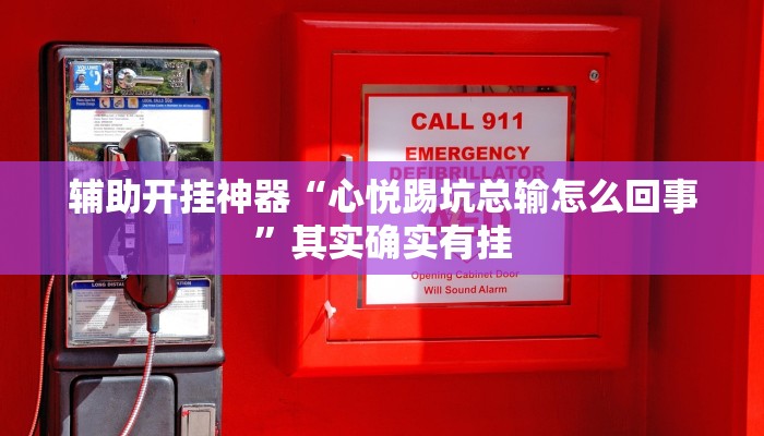 辅助开挂神器“心悦踢坑总输怎么回事”其实确实有挂