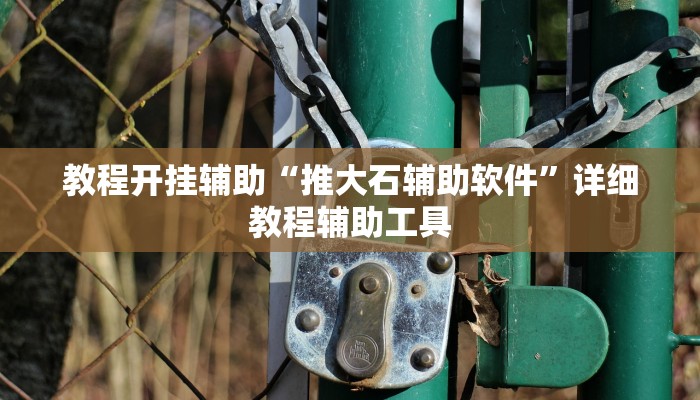 教程开挂辅助“推大石辅助软件”详细教程辅助工具