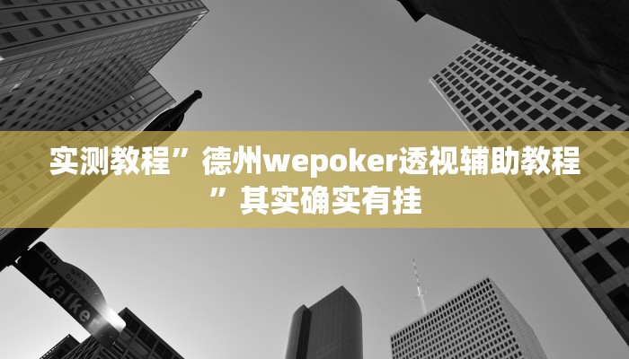 实测教程”德州wepoker透视辅助教程”其实确实有挂