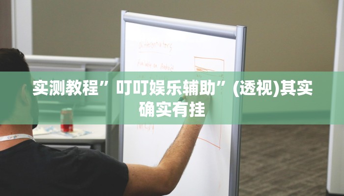 实测教程”叮叮娱乐辅助”(透视)其实确实有挂