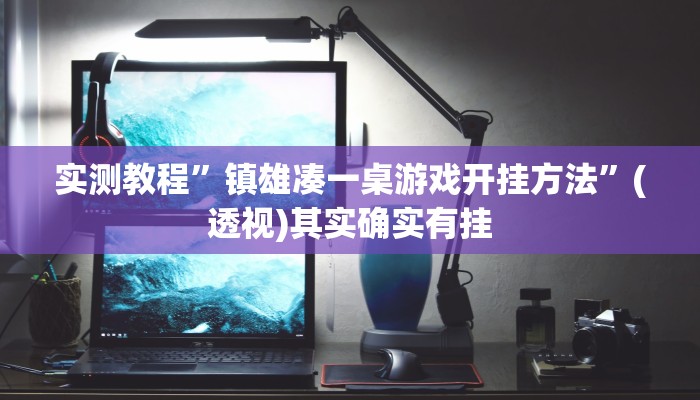 实测教程”镇雄凑一桌游戏开挂方法”(透视)其实确实有挂