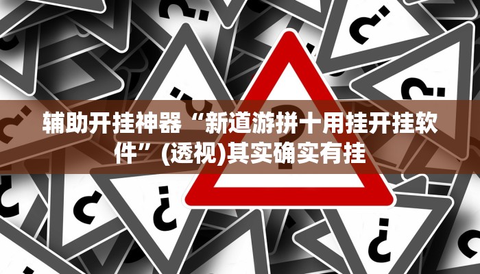 辅助开挂神器“新道游拼十用挂开挂软件”(透视)其实确实有挂