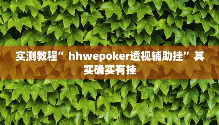 实测教程”hhwepoker透视辅助挂”其实确实有挂